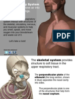 Atlas RespiratorySystem083113