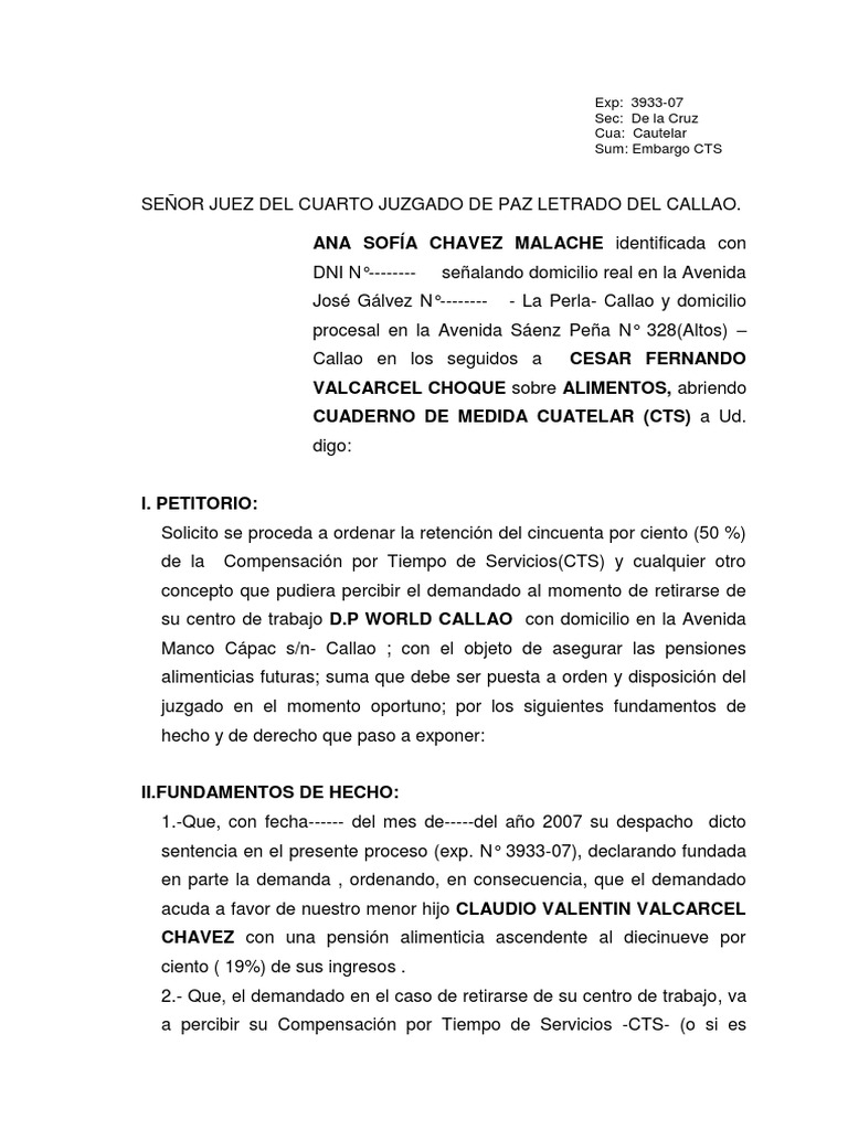Solicitud de Embargo de Cts | PDF | Demanda judicial | Virtud