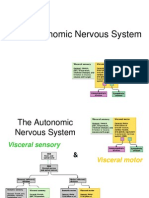 Lecture 15 - Autonomic Nervous System