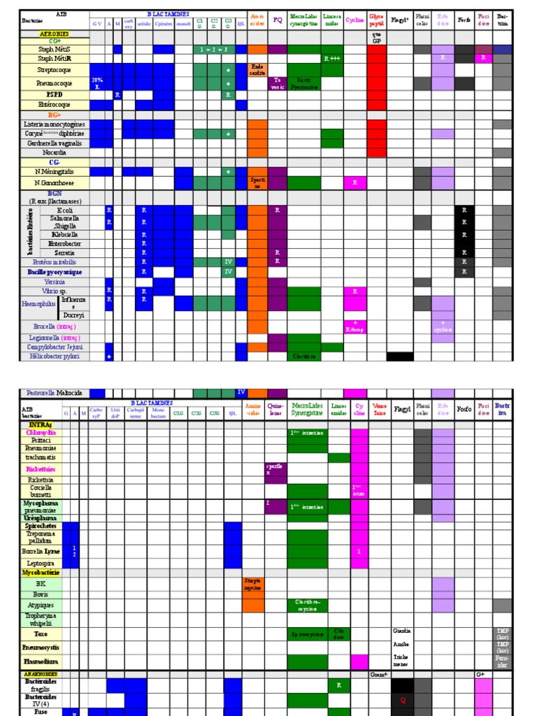Synergistine Antibiotic Spectrum Overview | PDF