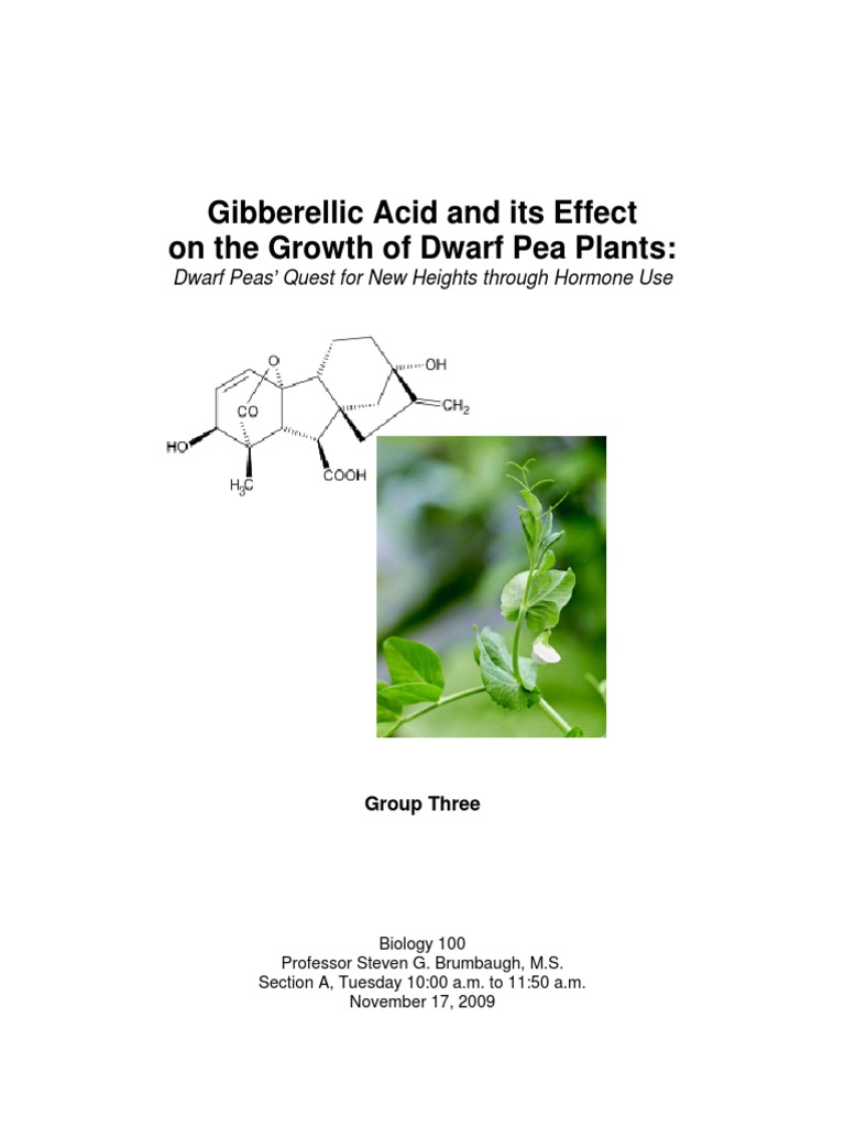 The Effects Of Gibberellic Acid On The Growth Of Dwarf Pea Plants Plant Hormone Experiment