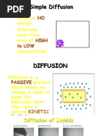 Cell Transport