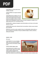 Get Animales Prehistóricos Del Perú Gif