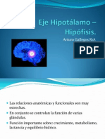 fisiología hipofisiaria