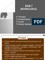 Bab 7 Biomolekul