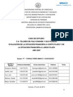 Análisis financiero de Telares de Palo Grande y sus filiales 2007