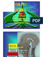 PDF Tutorial Model Sistem Digestivus 1a 2010