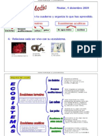 Esquema Ecosistemas