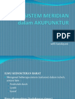 Meridian Dalam Akupunktur