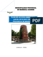 Plan de Accion Ambiental Local - MPMCJ