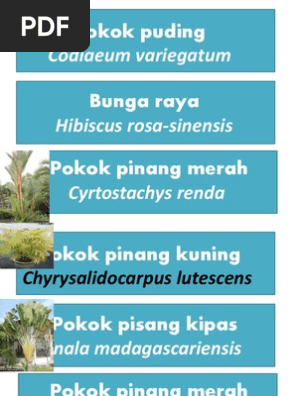 Nama Saintifik Tumbuhan Skfbs Pdf