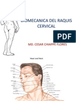 Biomecanica Cervical