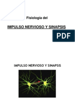 2 - Fisiologia Impulso Nervioso