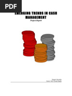 Download Project on Cash Management by banota9889 SN23844217 doc pdf