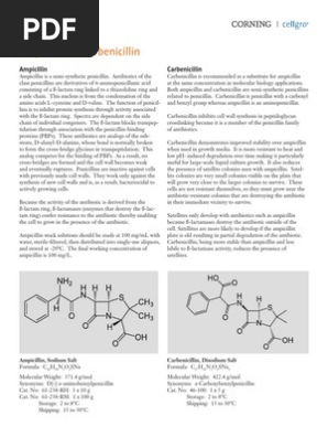 Buying Ampicillin