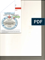 Algoritmo PCR