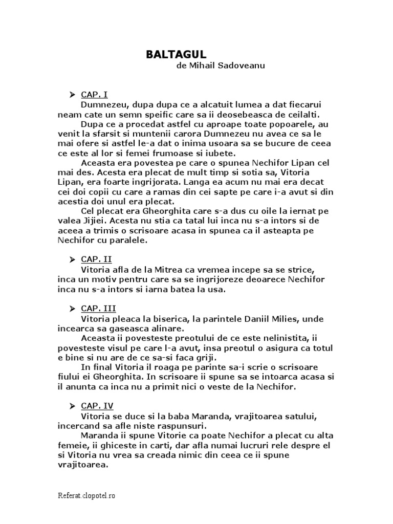 Baltagul Rezumat Pe Capitole