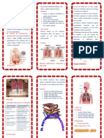 Triptico Sistema Respiratorio 130130192924 Phpapp02