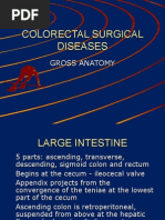 Powerpoint: Colorectal Surgical Diseases