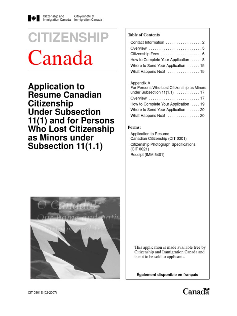 Essay canada immigration image