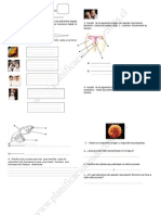 Prueba Naturales 7