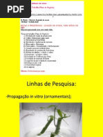 Historico FlorBrasil 2014