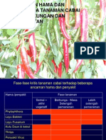 Hama Dan Penyakit Cabai