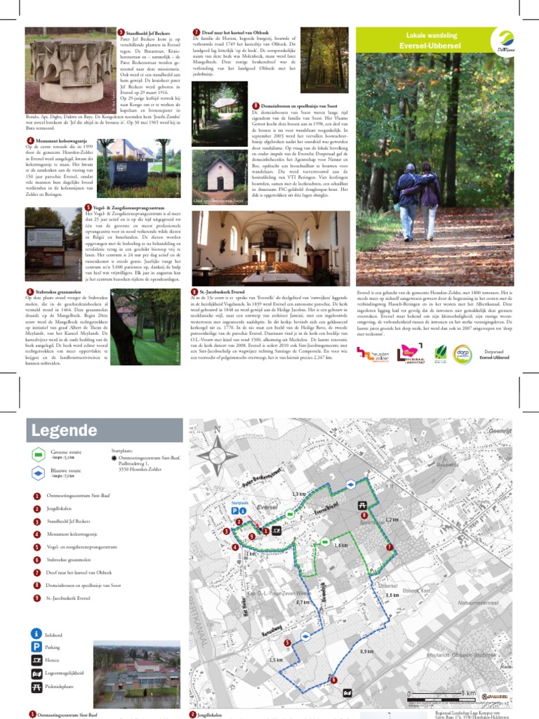 Eversel | PDF