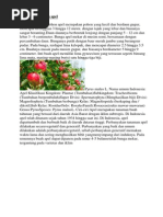 Download Deskripsi Tanaman Apel by EKo Sup SN238505100 doc pdf