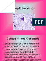 Características del tejido nervioso y sus componentes