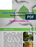 Dooars Forests: The Beauty of Nature Beyond Imagination