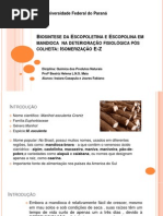 Biosintese Da Escopoletina e Escopolina Em Mandioca Deterioração Ok