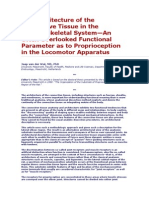 The Architecture of The Connective Tissue in The Musculoskeletal System