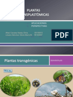 Plantas Transplastómicas, Aplicaciones y Perspectivas