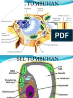 Sel Tumbuhan