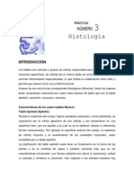 Practica 3 PDF