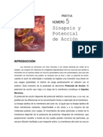 Practica 5 PDF