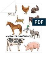 Animales Domesticos