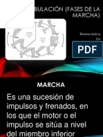 Fases de La Marcha 00