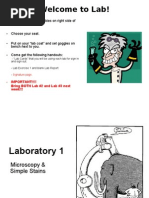 Download Lab 1 Microscope and Simple Stain by blue_blooded23 SN23858924 doc pdf