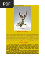 História Do Louva Deus