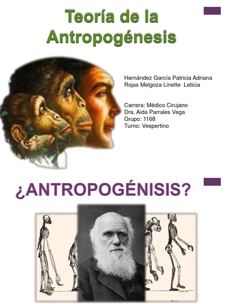 Teoría de La Antropogénesis | PDF