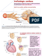 Elettrofisiologia Cardiaca