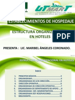 Estructura Organizacional