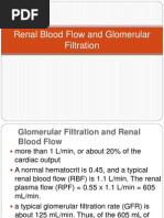 GUS1 - K5 - Renal Blood Flow and Glomerular Filtration