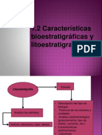 diapositivas de litoestratigrafia.pptx