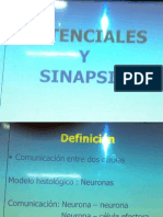1. Potenciales y Sinapsis