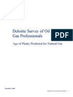 Deloitte Survey - Full Results - Age of Plenty For Natural Gas - 12.9.09