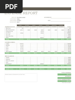 Expense Report