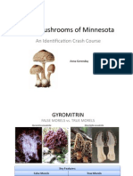 Mushroom Identification in The US